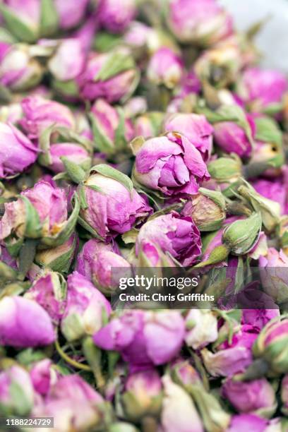 Middle Eastern Roses 965 Moroccan Rose Stock Photos, High-Res Pictures, and Images - Getty ...