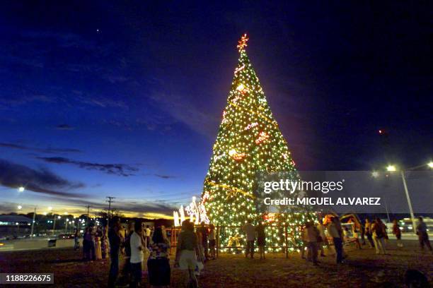 Hundreds of people walk close to Nicaraguan Christmas tree in Managua, 23 December 2000, a day before Christmas celebration. Cientos de personas se...