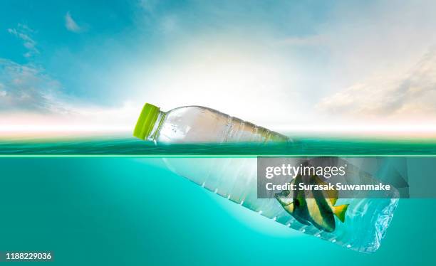 plastic pollution in marine environmental problems animals in the sea cannot live. and cause plastic pollution in the ocean (environmental concept) - turtle plastic stock pictures, royalty-free photos & images