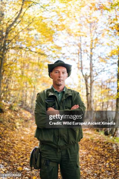 portrait of a park ranger in the forest - parkvakt bildbanksfoton och bilder