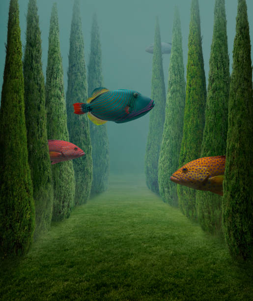 Fish With Tree 14,119 Tree Fish Stock Photos, High-Res Pictures, and Images - Getty Images