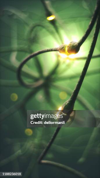 neurons cells - physiology stock pictures, royalty-free photos & images
