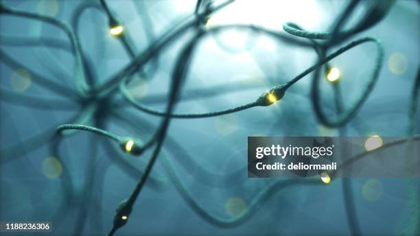 neuronen cellen - synapse stockfoto's en -beelden