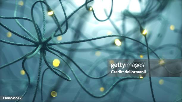 neurons cells - nerve fiber stock pictures, royalty-free photos & images