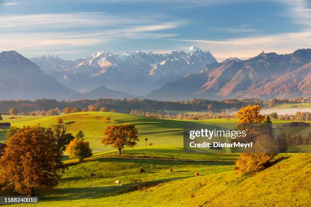 herbst in bayern, murnauer moos mit zugspitze im hintergrund - garmisch partenkirchen stock-fotos und bilder