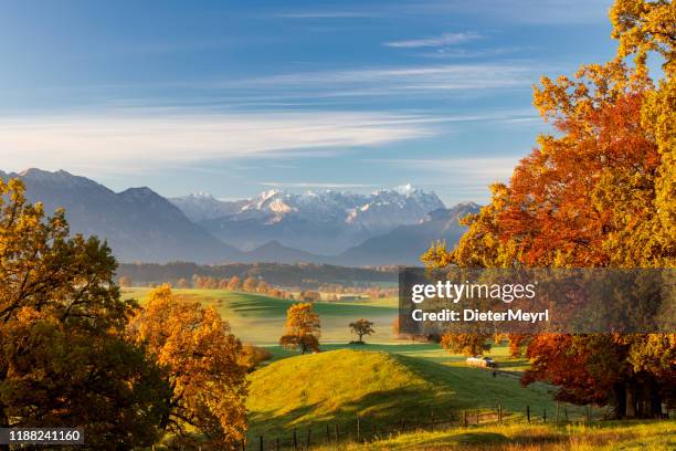 automne en bavière, murnauer moos avec zugspitze en arrière-plan - murnau photos et images de collection