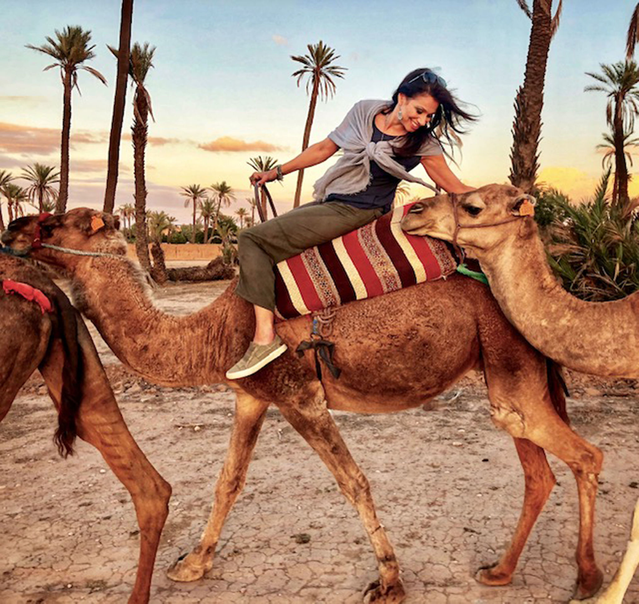camel ride desert
