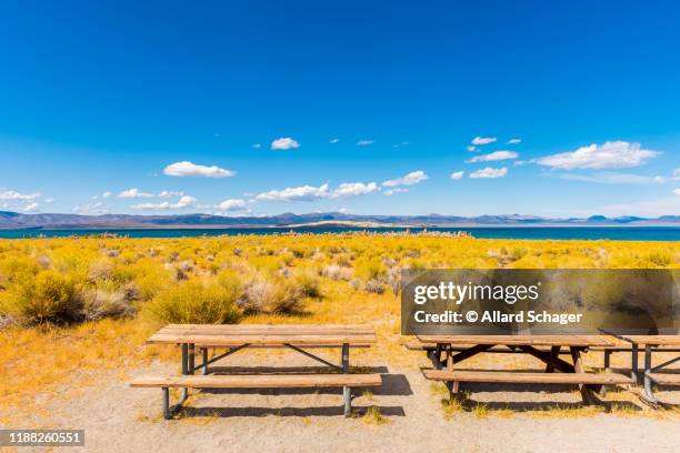 picnic tables near mono lake california - californië 個照片及圖片檔