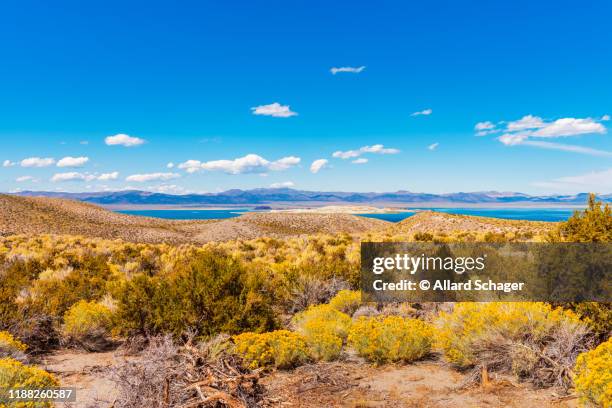 view towards mono lake california - californië stock pictures, royalty-free photos & images