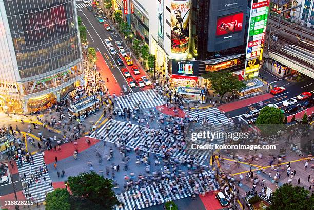 busy shibuya crossing in evening - shibuya crossing photos et images de collection