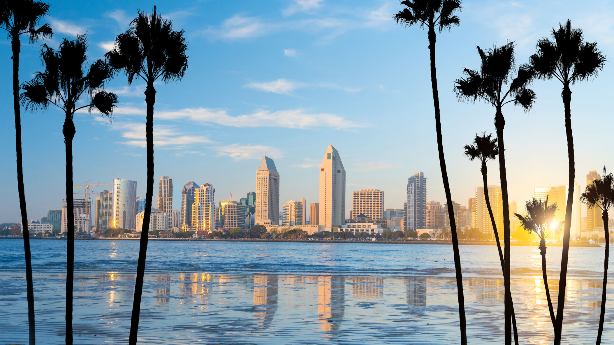 san diego cityscape