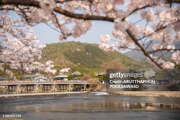 arashiyama with cherry blossom full bloom kyoto kansai japan - arashiyama imagens e fotografias de stock