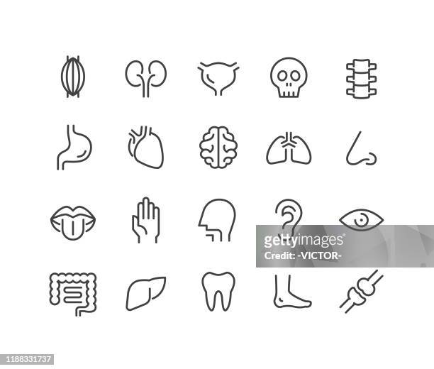 menschliche organe ikonen - classic line serie - dickdarm verdauungstrakt stock-grafiken, -clipart, -cartoons und -symbole