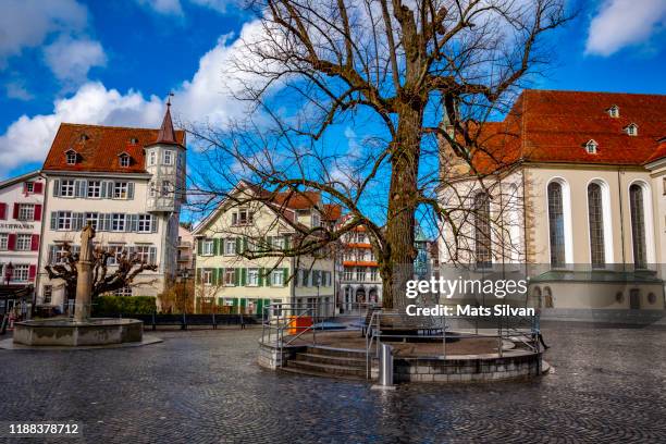 bare tree in city - st gallen stockfoto's en -beelden