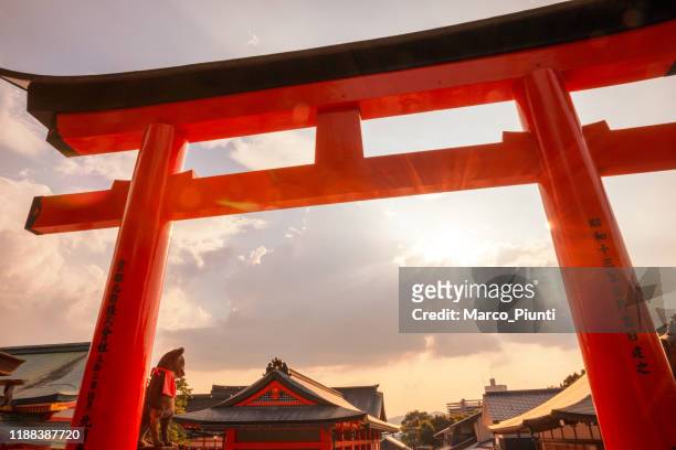 porte torii nel santuario fushimi inari, kyoto, giappone - scintoismo foto e immagini stock