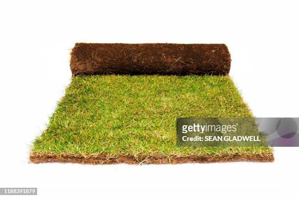 roll of grass turf - turf stock pictures, royalty-free photos & images