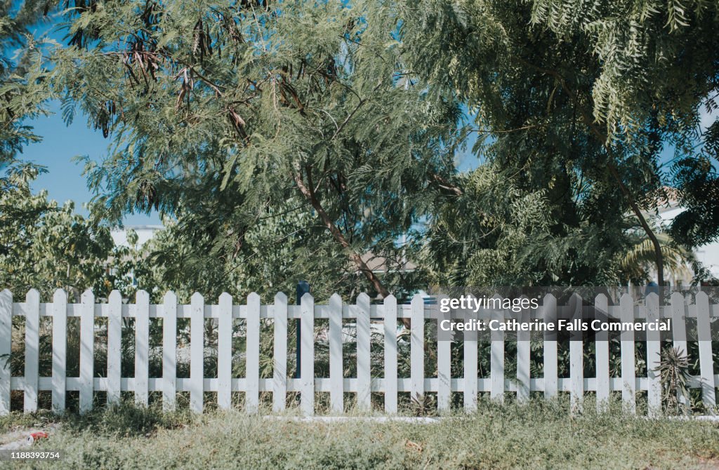 White Picket Fence