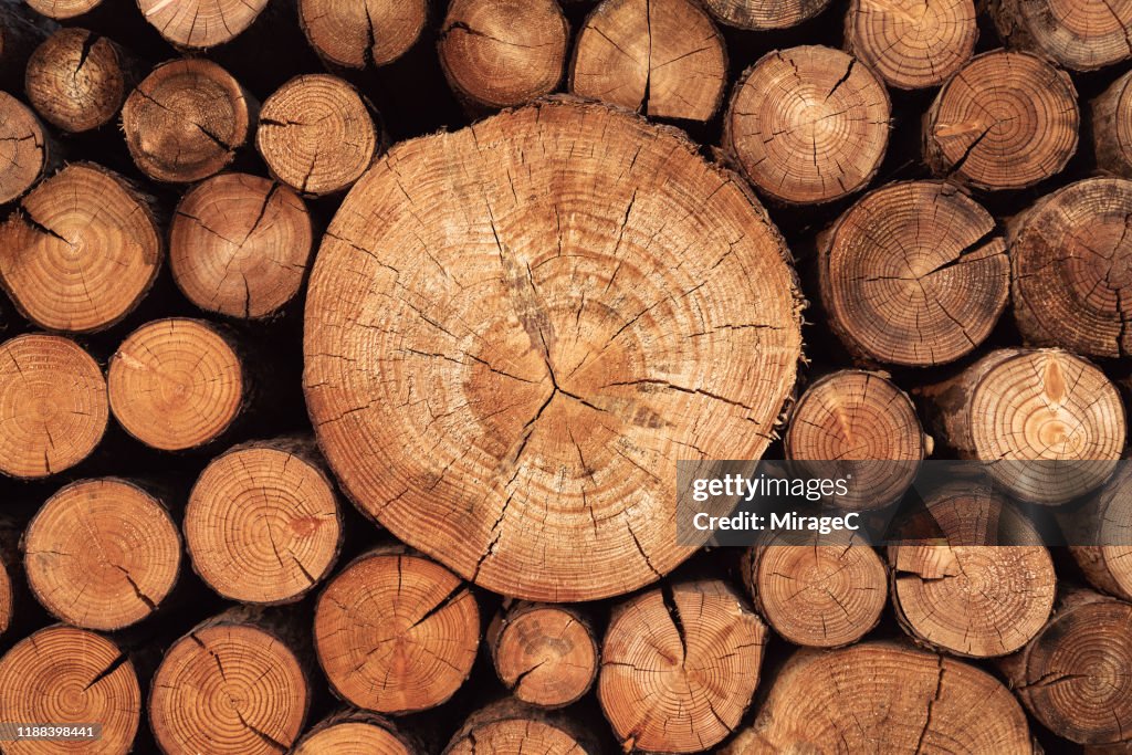 Rustic Weathered Wood Logs
