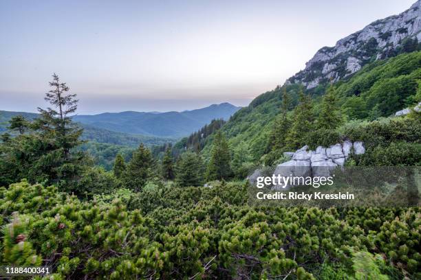 Risnjak mountain forest hi-res stock photography and images - Alamy