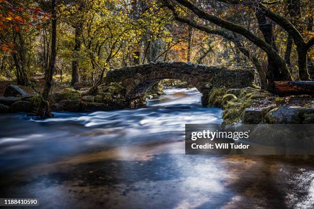pullabrook woods - dartmoor bridge stock pictures, royalty-free photos & images