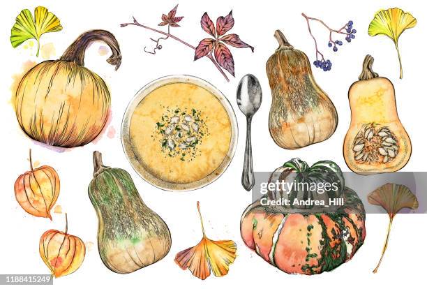 squash soup with various squashes and autumn leaves. vector ink and watercolor drawing of fall pumpkins, squash, leaves, vines and more - squash soup stock illustrations