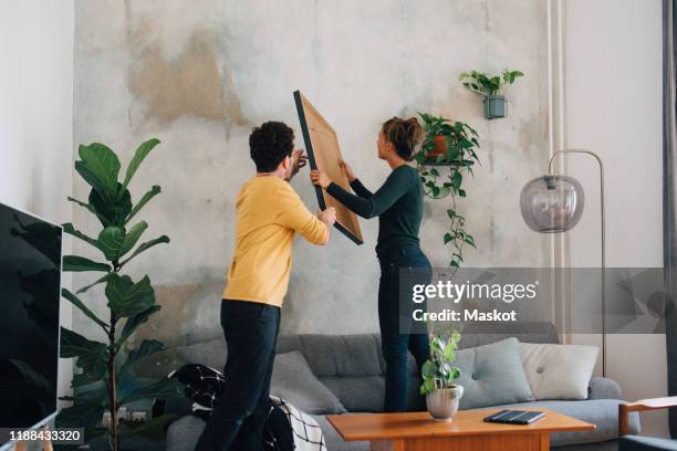 mid adult man passing picture frame to girlfriend against wall in living room at new home - new sofa stock pictures, royalty-free photos & images