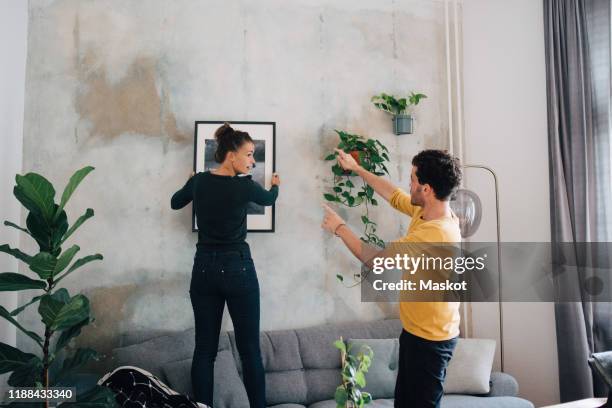 boyfriend guiding girlfriend in hanging picture frame on wall at new home - new sofa stock pictures, royalty-free photos & images