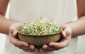 Hands with homegrown organic sprouts.