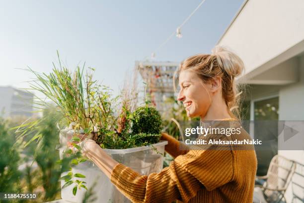 meinen dachgarten arrangieren - balkon pflanzen stock-fotos und bilder