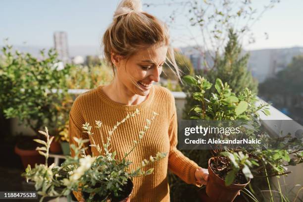 prendre soin de mes plantes - balcony photos et images de collection