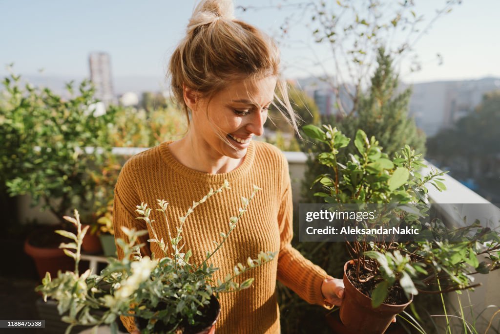 Taking care of my plants