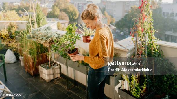 prendre soin de mes plantes - balcony stock photos et images de collection