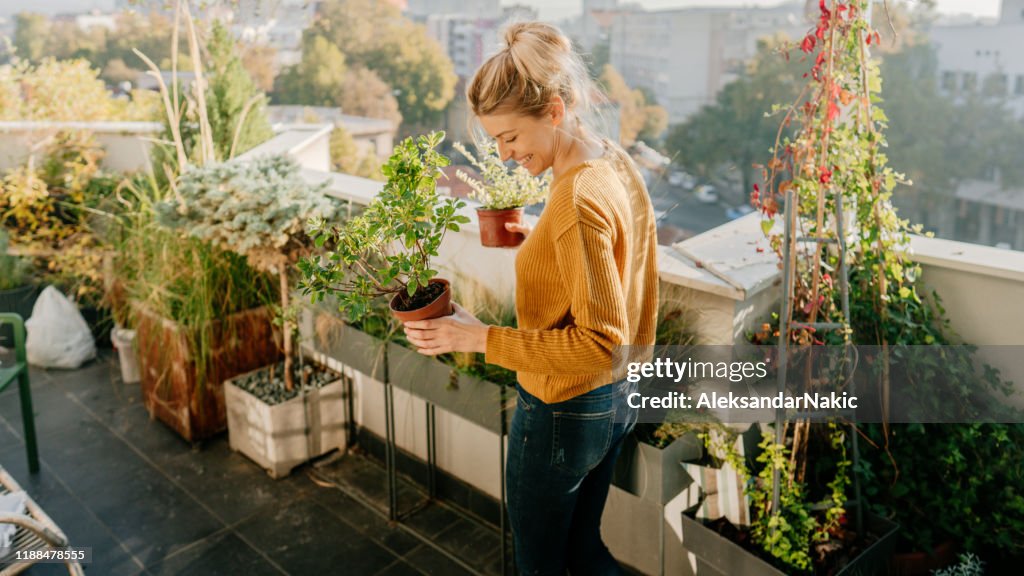 Taking care of my plants