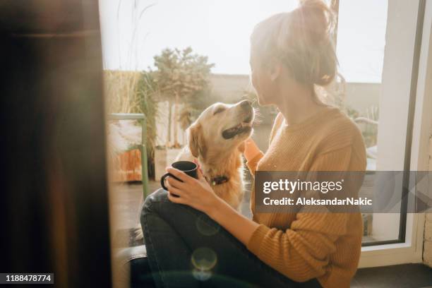 first morning coffee with a company - dog relax imagens e fotografias de stock