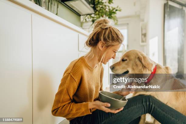 morgens mit meinem hund in unserer küche - animal nutrition stock-fotos und bilder