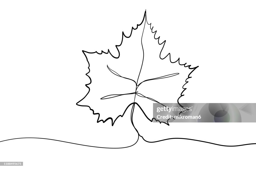 Single Line Drawing Of A Leaf High-Res Stock Photo - Getty Images