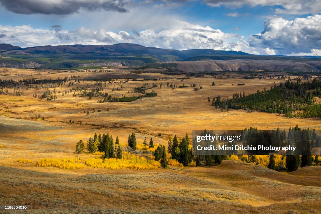 View in Yellowstone National Park