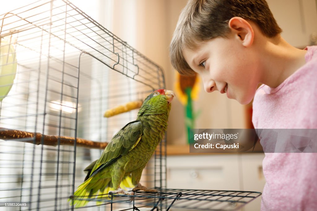 Hermosa amistad entre el niño y el loro