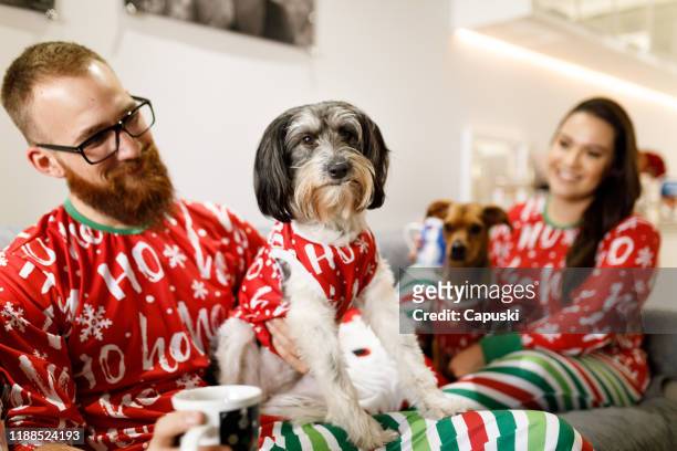 夫婦慶祝耶誕節與狗在sof - ugly christmas sweater 個照片及圖片檔