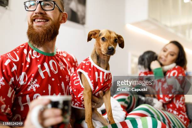 paar vieren kerst met honden op de bank - christmas sweater stockfoto's en -beelden
