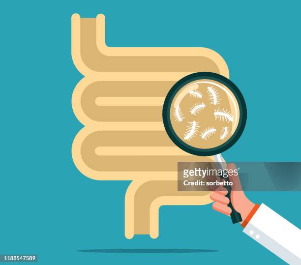 digestive system - magnifying glass - bacterium stock illustrations