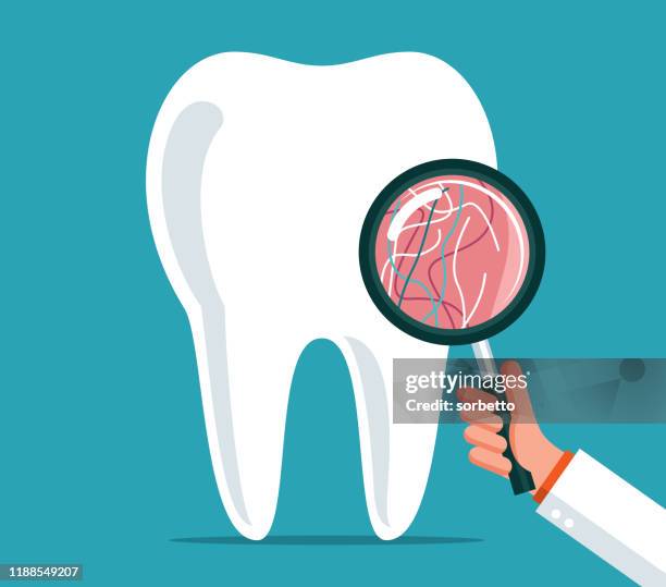 zahnpflege - lupe - teeth stock-grafiken, -clipart, -cartoons und -symbole