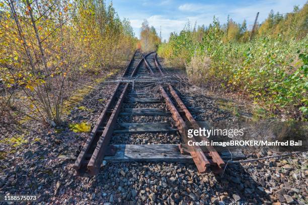 disused railway line, tracks, berg am laim, munich, upper bavaria, bavaria, germany - rust   germany stock pictures, royalty-free photos & images