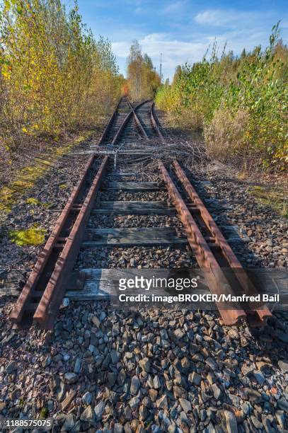 disused railway line, tracks, berg am laim, munich, upper bavaria, bavaria, germany - rust deutschland stock-fotos und bilder