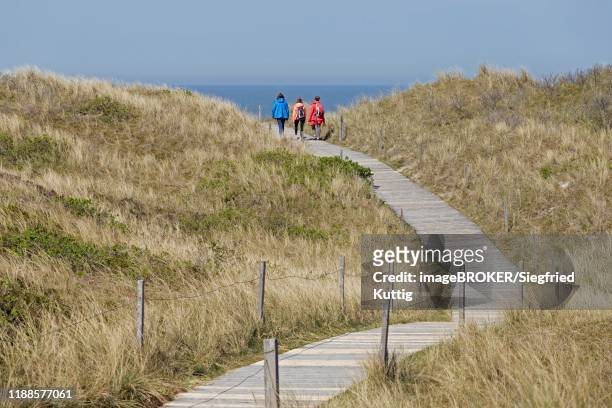 way through the dunes to the beach, island spiekeroog, east frisia, lower saxony, germany - east frisian islands stock pictures, royalty-free photos & images