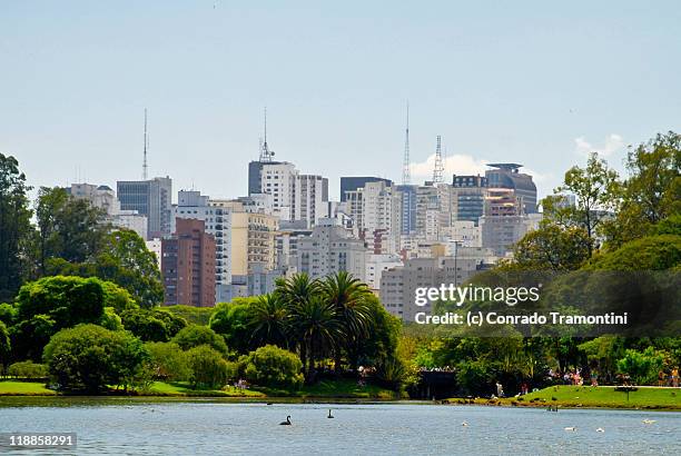 cityscape - ibirapuera park fotografías e imágenes de stock