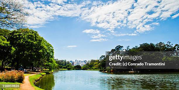 são paulo city - ibirapuera park stock pictures, royalty-free photos & images