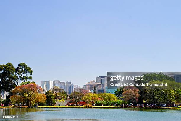 colors in sao paulo - ibirapuera park stock pictures, royalty-free photos & images