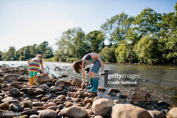 playing at the riverside - summer memories stock pictures, royalty-free photos & images