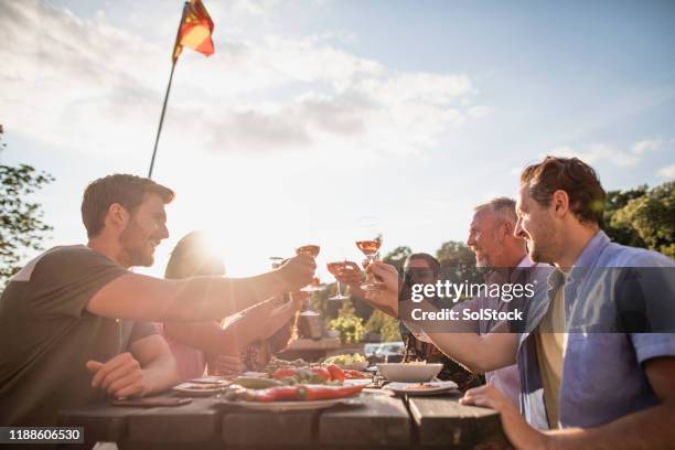 toasting with wine - rose wine stock pictures, royalty-free photos & images